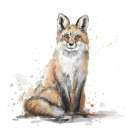 Fox Art Print