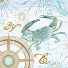 Teal Coastal Collection IV Art Print