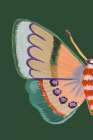 Boho Butterfly on Green I Art Print