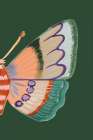 Boho Butterfly on Green II Art Print