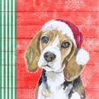 Holiday Puppy I Art Print