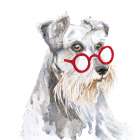 Schnauzer With Glasses Art Print