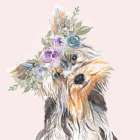 Flower Crown Pet II Art Print