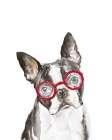 French Bulldog with Glasses Art Print