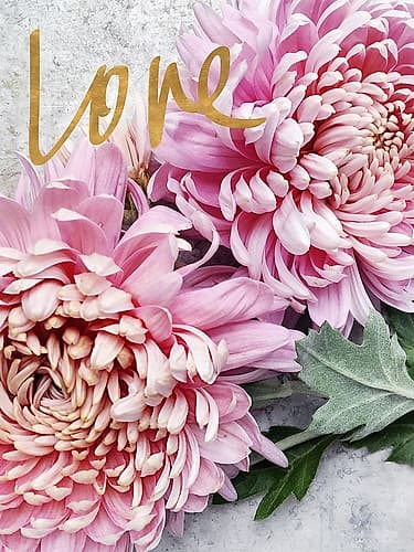 Love Art Print