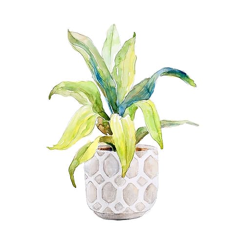 Plant in Decorative Pot I Art Print