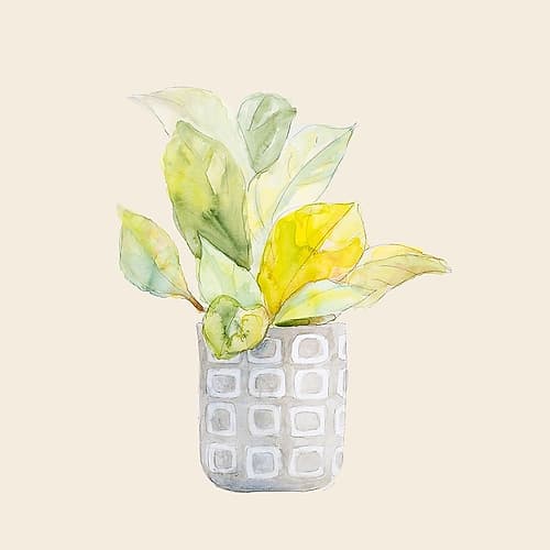 Decorative Potted Plant II Art Print