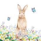 Spring Brown Bunny Art Print