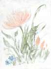 Spring Garden II Art Print