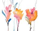 September Blooms II Art Print