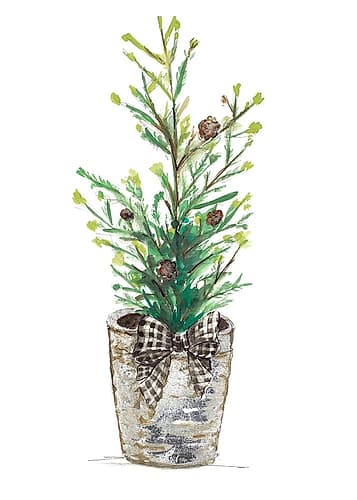Christmas Fir II Art Print