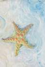 Watercolor Starfish I Art Print