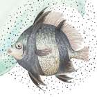 Coastal Fish I Art Print