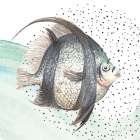 Coastal Fish II Art Print