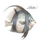 Aloha Fish Art Print