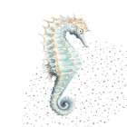 Turquoise Seahorse Art Print