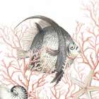 Ocean Fish On Coral Art Print