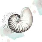 Turquoise Ocean Nautilus Art Print