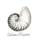 Nautilus Art Print