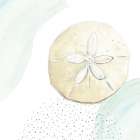 Turquoise Ocean Sand Dollar Art Print