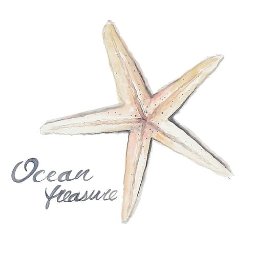 Ocean Treasure Starfish Coastal Print