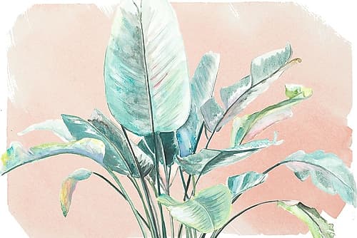 Jungle Gems on Blush II Tropical Print