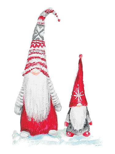 Gnome Duo Art Print