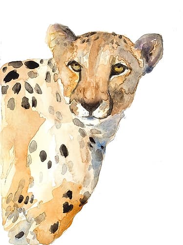 Standing Cheetah Wildlife Print