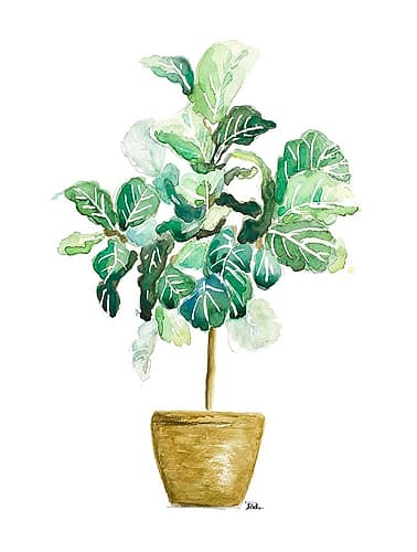 Fig Plant Tropical Print