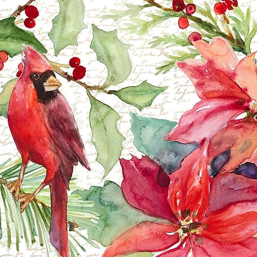 Poinsettia and Cardinal II Art Print