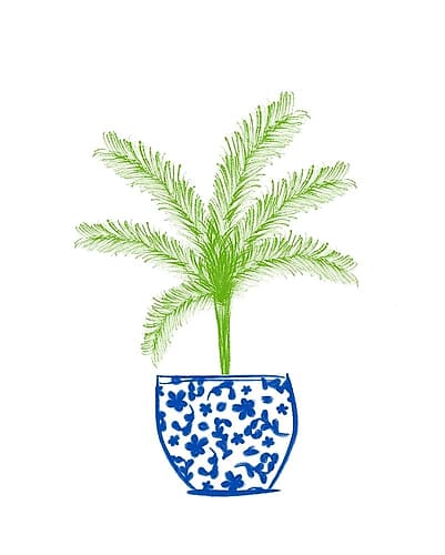 Potted Plant II Art Print