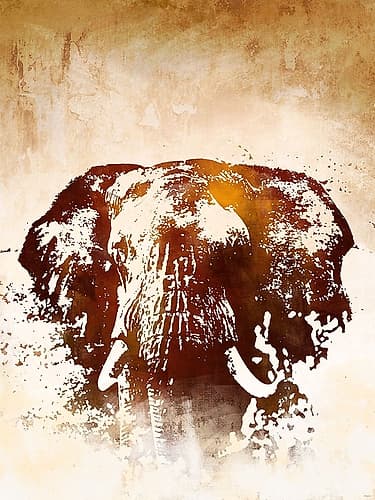 Safari Elephant Wildlife Print