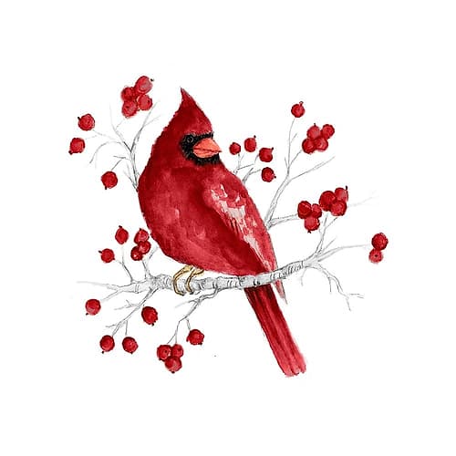 Winter Cardinal in Red I Art Print