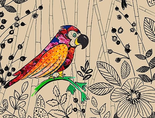 Bird Rainforest Art Print