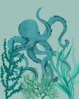 Showy Octopus Art Print