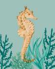 Showy Seahorse Art Print