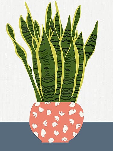 Potted Plant Art Print