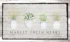 Market Fresh Herbs Art Print
