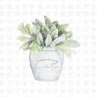Garden Plants III Art Print