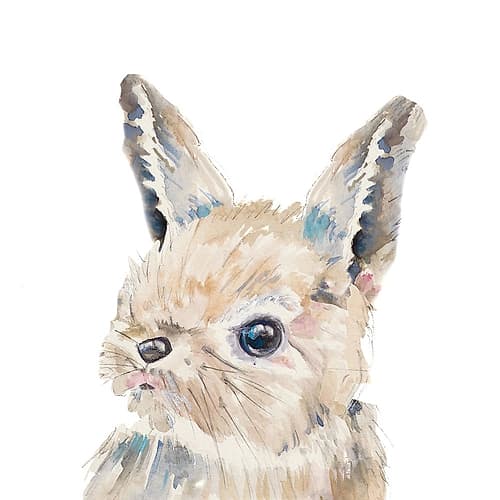 Baby Bunny Close Up Art Print
