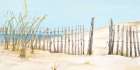 Beach Fence Art Print