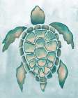 Aquatic Turtle I Art Print