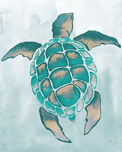 Aquatic Turtle II Art Print