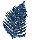 Blue Fern II Botanical Print