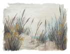 Tall Beach Grass Art Print
