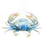 Cangrejo Azul Square Art Print