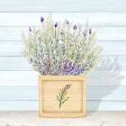 Lavender and Wood Square III Art Print