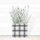 Lavender In Modern Pot II Art Print