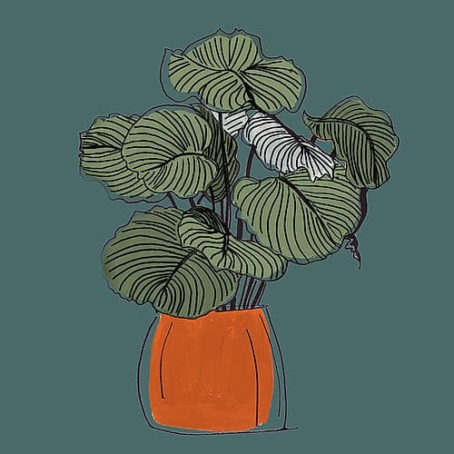 The Retro Pot On Teal I Art Print