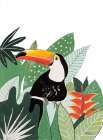Peering Toucan Art Print